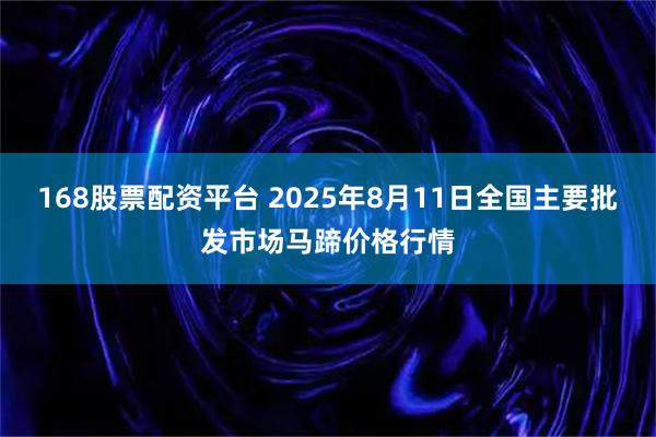 168股票配资平台 2025年8月11日全国主要批发市场马蹄价格行情