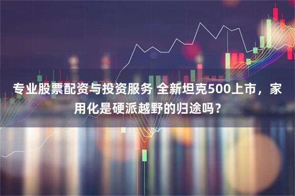 专业股票配资与投资服务 全新坦克500上市，家用化是硬派越野的归途吗？