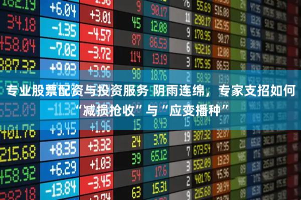 专业股票配资与投资服务 阴雨连绵，专家支招如何“减损抢收”与“应变播种”