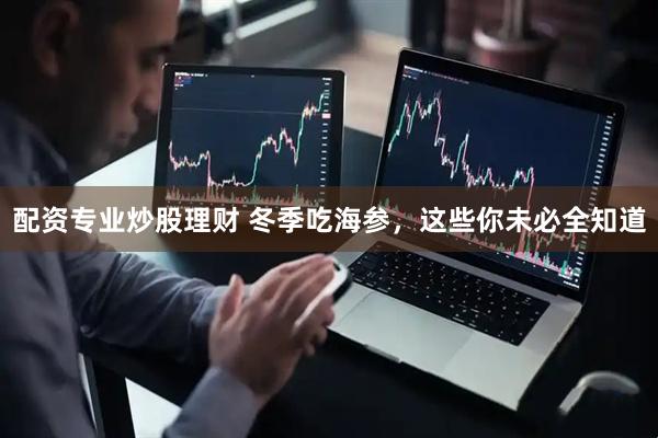 配资专业炒股理财 冬季吃海参，这些你未必全知道